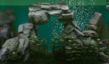 [单机游戏]《鱼缸模拟器 Biotope》英文版下载