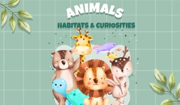 【儿童故事】switch游戏《动物 - 栖息地和好奇心 Animals - Habitats and Curiosities》英文版nsp下载