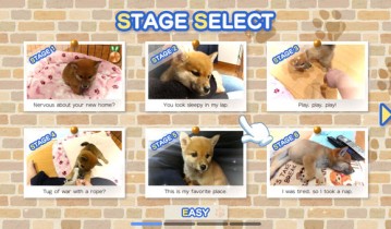 switch游戏《Pixel Game Maker Series Shiba Mekuri》英文版nsp下载