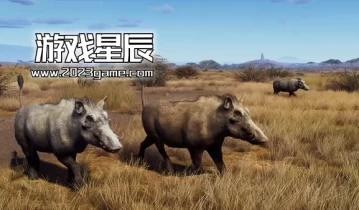 单机游戏《猎人之路:蒂卡蒙平原 Way of the Hunter - Tikamoon Plains》中文版下载