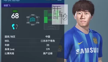 【单机游戏】实况足球2019(Pro Evolution Soccer 2019)最新大补免安装绿色版 下载