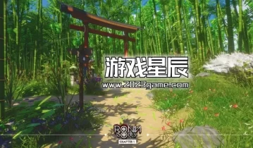 单机游戏《浪人：两魂一体/RONIN: Two Souls CHAPTER 1》中文版下载v8801704