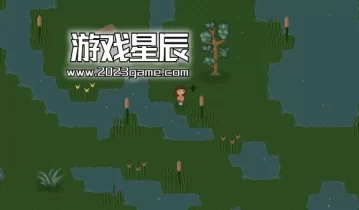 switch游戏《Bug and Seek》英文版nsp下载